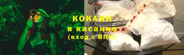 PSILOCYBIN Кулебаки
