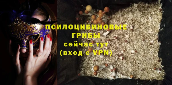 PSILOCYBIN Кулебаки