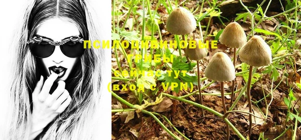 СК Куйбышев