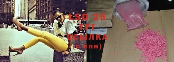 PSILOCYBIN Кулебаки