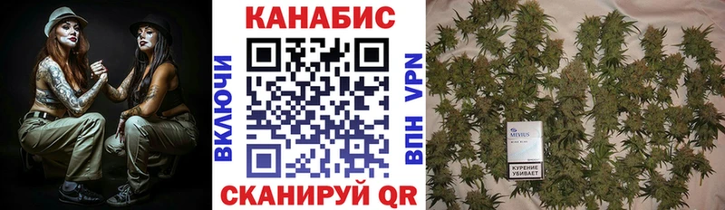 Купить закладки  Уссурийск  Бошки марихуана план 